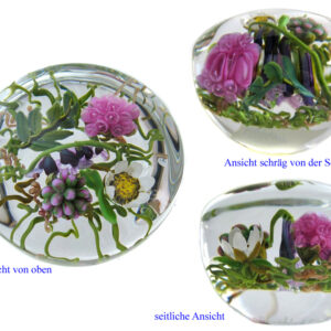 Farfalla Paperweight Bracht Stefan Unterm Bluetenbogen SB 025