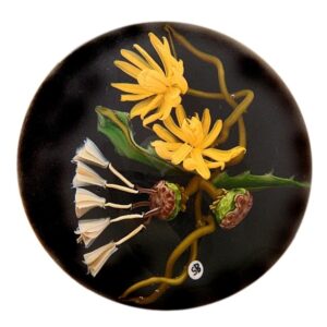Farfalla Paperweight Bracht Stefan Verwunschenes Gelb SB 054