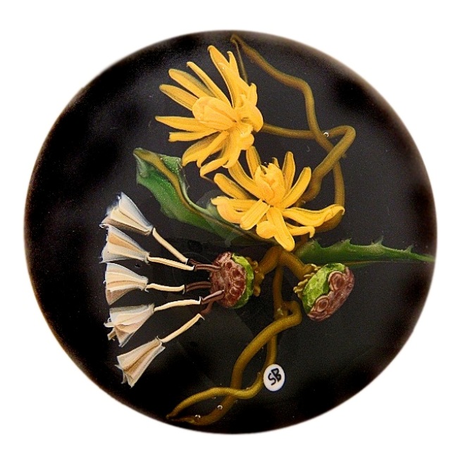 Farfalla Paperweight Bracht Stefan Verwunschenes Gelb SB 054