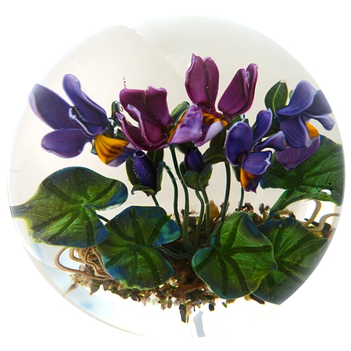 Farfalla Paperweight Bracht Stefan Viola VII SB 092 a