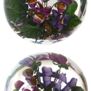 Farfalla Paperweight Bracht Stefan Voilà III SB 076