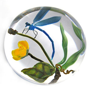 Farfalla Paperweight Bracht Stefan Zweimal entwischt SB 027