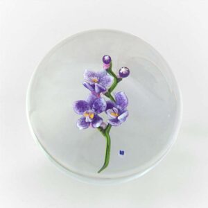 Farfalla Paperweight Briening David Dennis Phalaenopsis DBDB 003
