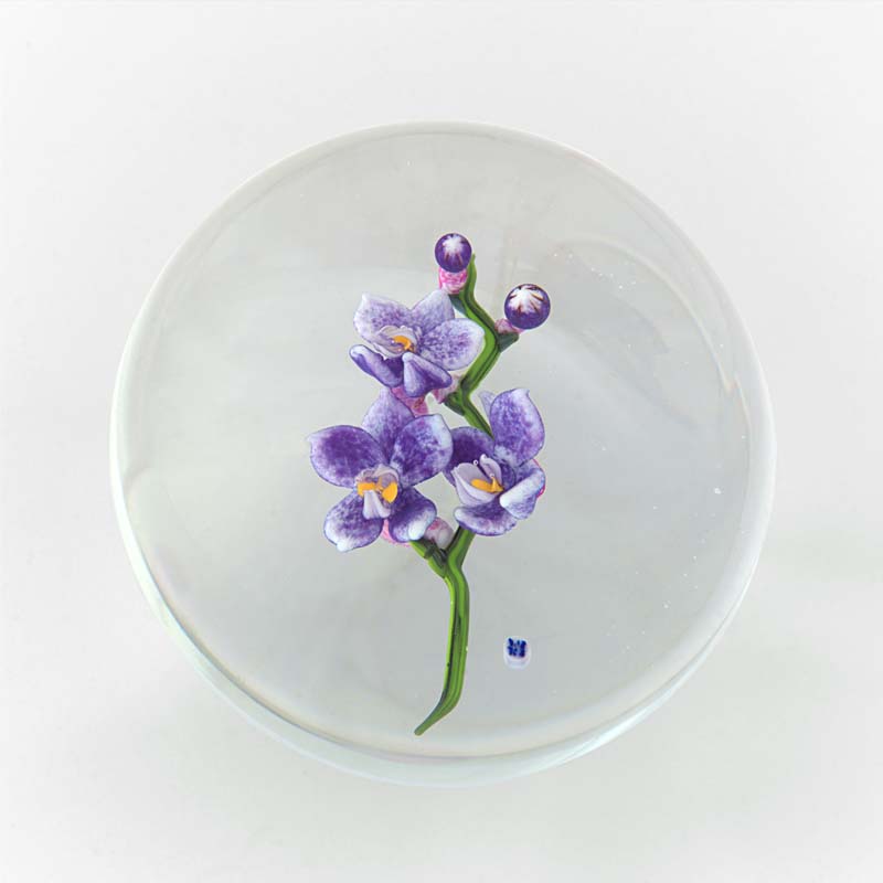 Farfalla Paperweight Briening David Dennis Phalaenopsis DBDB 003