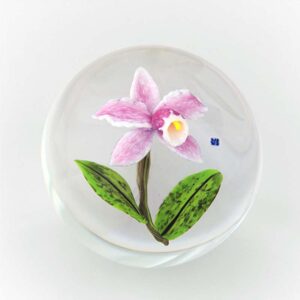 Farfalla Paperweight Briening David Dennis Pink Cattleya DBDB 001