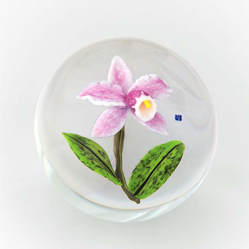 Farfalla Paperweight Briening David Dennis Pink Cattleya DBDB 001