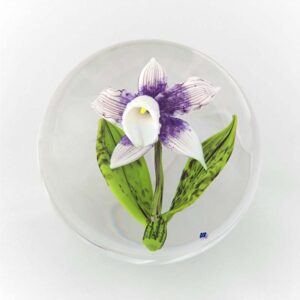 Farfalla Paperweight Briening David Dennis Weiss lila Cattleya DBDB 002