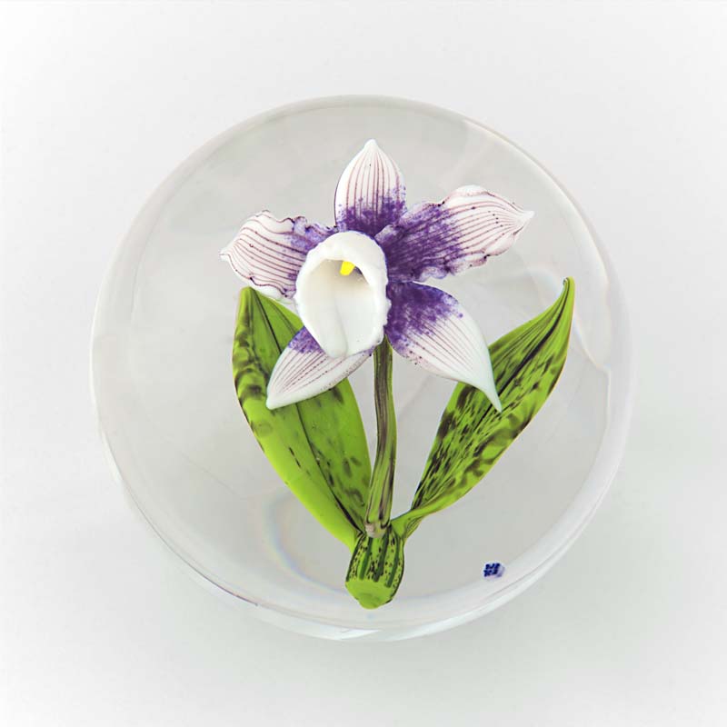 Farfalla Paperweight Briening David Dennis Weiss lila Cattleya DBDB 002