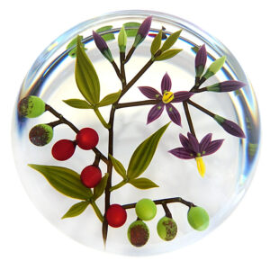 Farfalla Paperweight Buzzini Chris Bittersuess Nachtschatten CB 013