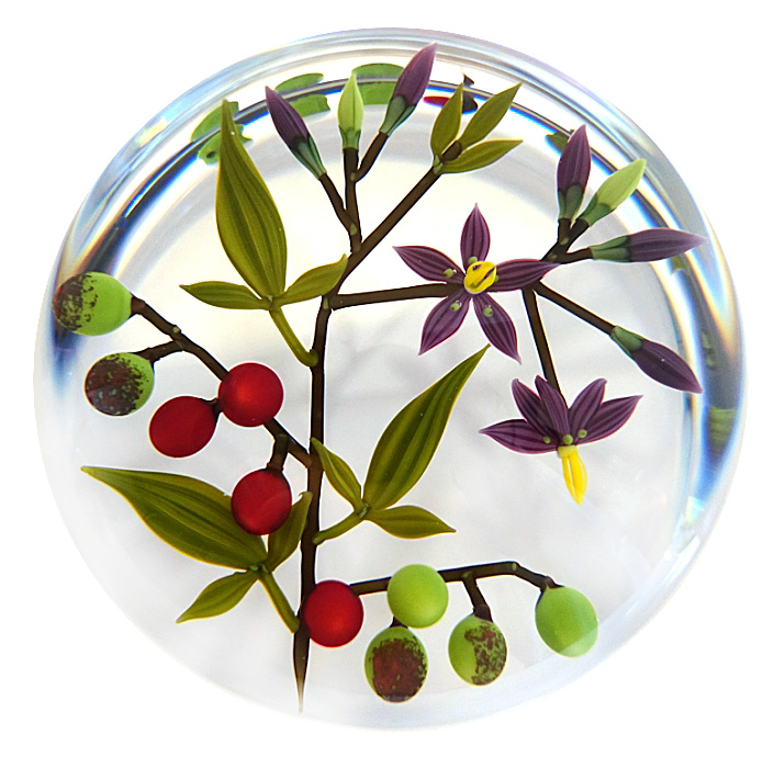 Farfalla Paperweight Buzzini Chris Bittersuess Nachtschatten CB 013