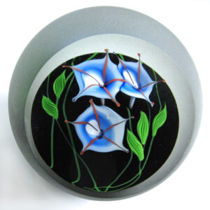 Farfalla Paperweight Buzzini Chris Correia Blaue Ackerwinde Morning Glory CO CB 086 2