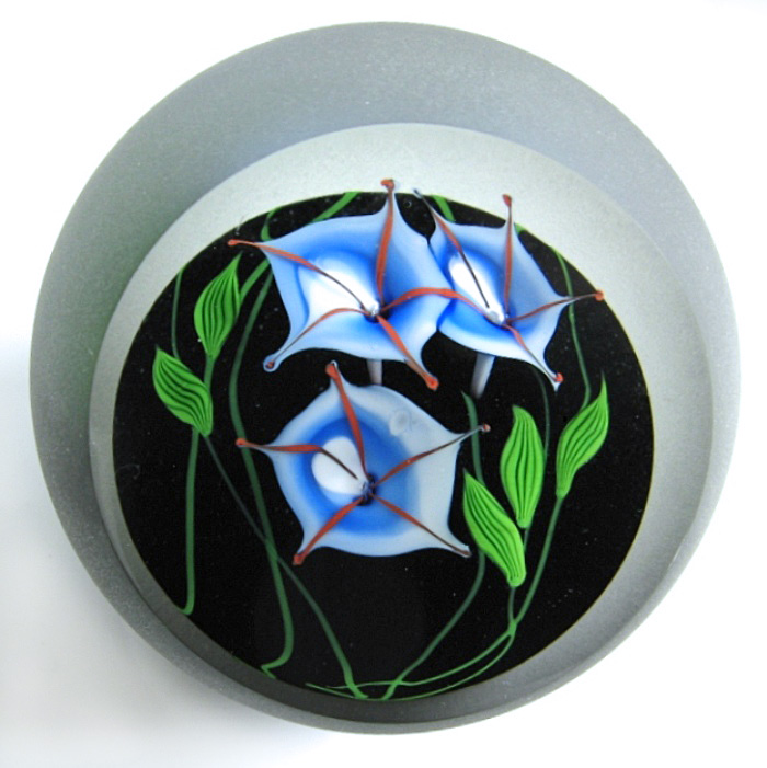 Farfalla Paperweight Buzzini Chris Correia Blaue Ackerwinde Morning Glory CO CB 086 2