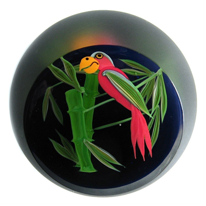 Farfalla Paperweight Buzzini Chris Correia Papagei CO CB 087 2