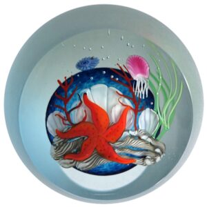 Farfalla Paperweight Buzzini Chris Correia Unterwasserwelt Seestern CO CB 084 2