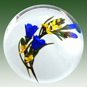 Farfalla Paperweight Buzzini Chris Enzian CB 130