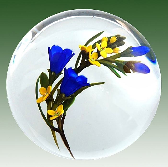 Farfalla Paperweight Buzzini Chris Enzian CB 130