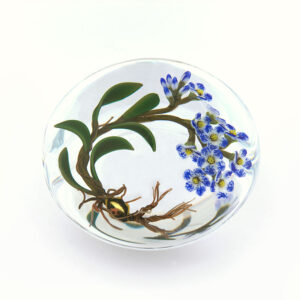 Farfalla Paperweight Buzzini Chris Mystify Skypilot CB 134