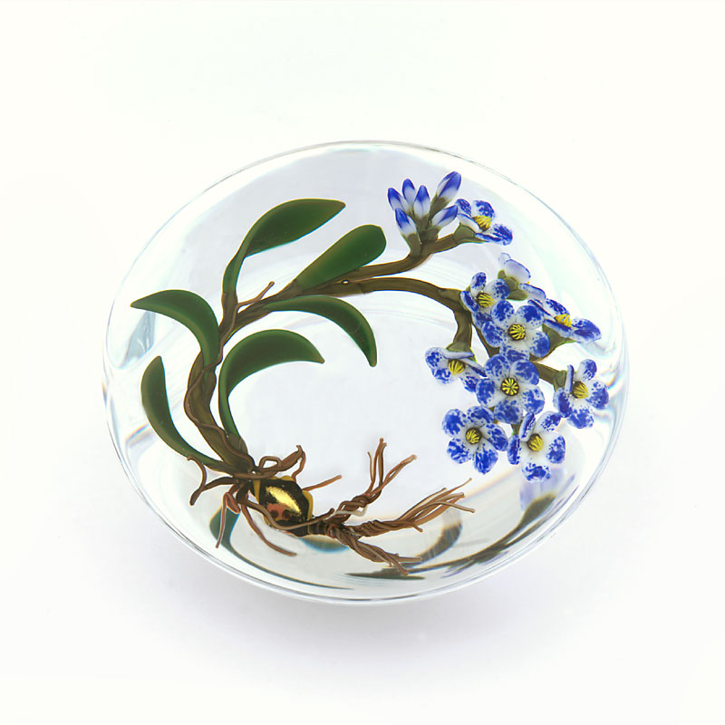 Farfalla Paperweight Buzzini Chris Mystify Skypilot CB 134