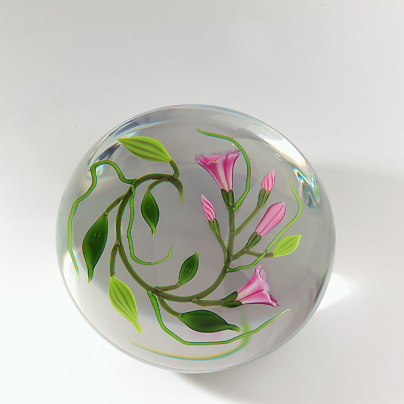 Farfalla Paperweight Buzzini Chris Pink Morning Glory CB 006