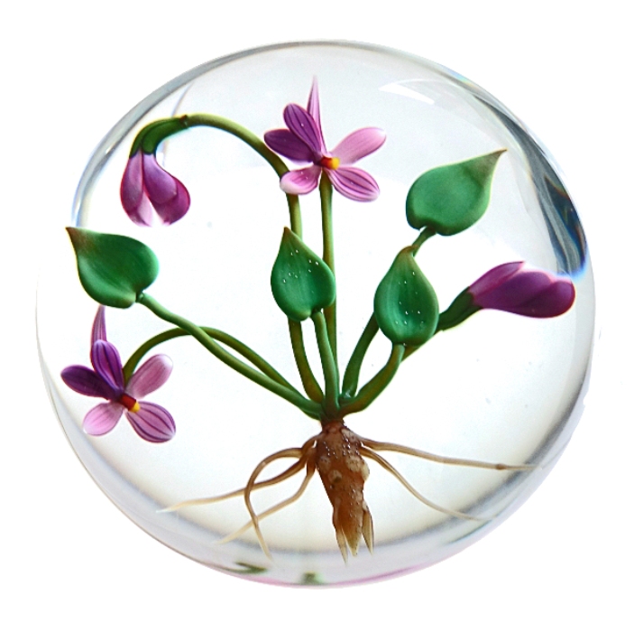 Farfalla Paperweight Buzzini Chris Violetts CB 139