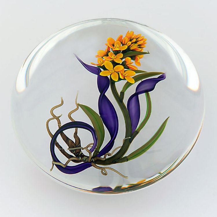 Farfalla Paperweight Buzzini Chris Western Wallflower CB 133