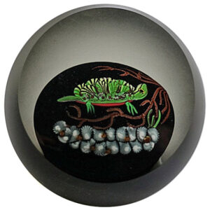 Farfalla Paperweight Correia Art Glass Schildkroete Turtle CO 087 3