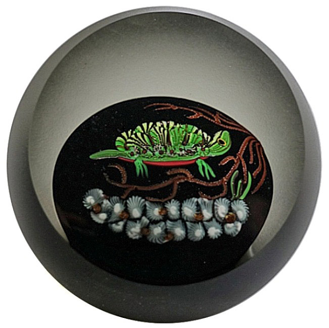 Farfalla Paperweight Correia Art Glass Schildkroete Turtle CO 087 3