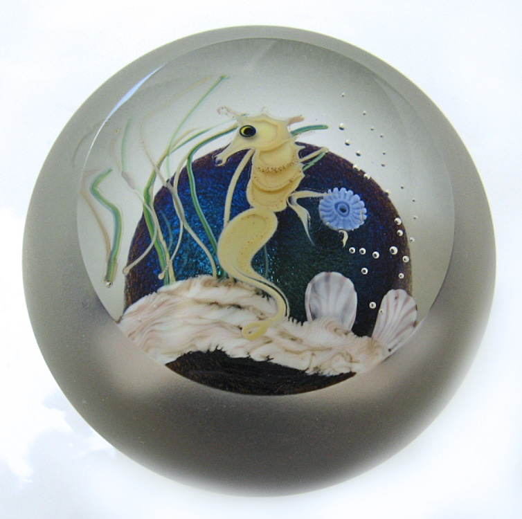 Farfalla Paperweight Correia Art Glass Seepferdchen CO CB 090