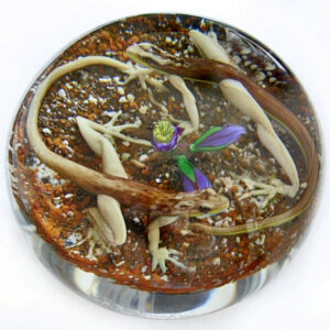 Farfalla Paperweight D Onofrio Jim Begegnung zwei Eidechsen DO 106