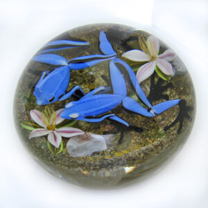 Farfalla Paperweight D Onofrio Jim Blaue Pfeilgiftfroesche DO 161