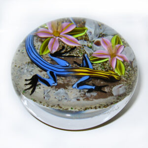 Farfalla Paperweight D Onofrio Jim Five Line Skink Eidechse DO 163