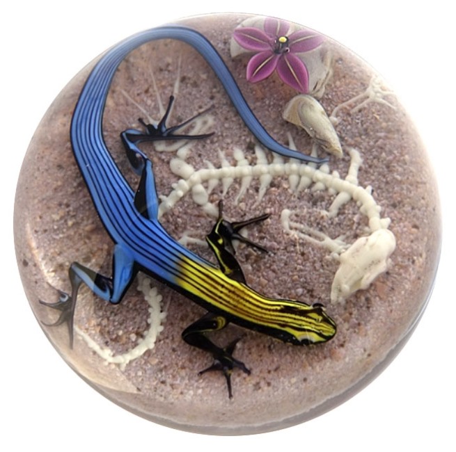Farfalla Paperweight D Onofrio Jim Five Line Skink mit Skelett DO 125