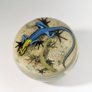 Farfalla Paperweight D Onofrio Jim Five Line Skink DO 139