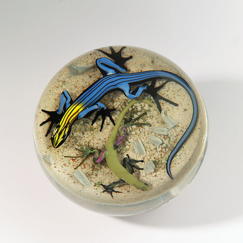 Farfalla Paperweight D Onofrio Jim Five Line Skink DO 139