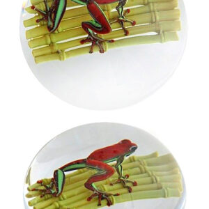 Farfalla Paperweight D Onofrio Jim Frosch auf Bambusfloss DO 126