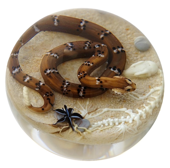 Farfalla Paperweight D Onofrio Jim Klapperschlange und Skelett DO 135