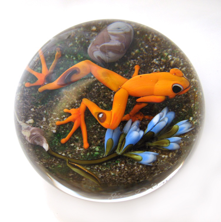 Farfalla Paperweight D Onofrio Jim Orangefarbener Regenwaldfrosch DO 159