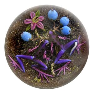 Farfalla Paperweight D Onofrio Jim Pfeilgiftfroesche DO 124