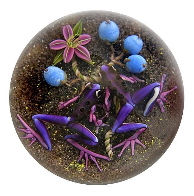 Farfalla Paperweight D Onofrio Jim Pfeilgiftfroesche DO 124