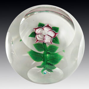 Farfalla Paperweight Deacons John Anemone JD 1408
