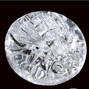 Farfalla Paperweight Diverse Briefbeschwerer Miscellaneous Biene DIV 131