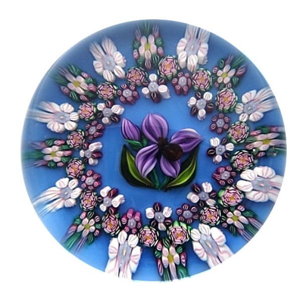 Farfalla Paperweight Ebelhare Drew Fox Sue Millefiori Chiara DESF 003