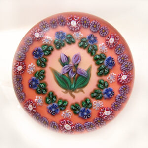Farfalla Paperweight Ebelhare Drew Fox Sue Millefiori Miranda DESF 002