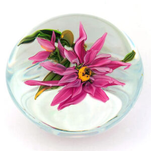 Farfalla Paperweight Federici Karen Rosa Dahlie KF 006
