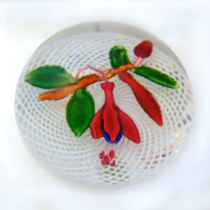 Farfalla Paperweight Fuchsie auf Latticinio 0911 SL