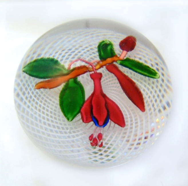 Farfalla Paperweight Fuchsie auf Latticinio 0911 SL