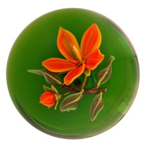 Farfalla Paperweight Graeber David Hibiskusbluete STST DG 005