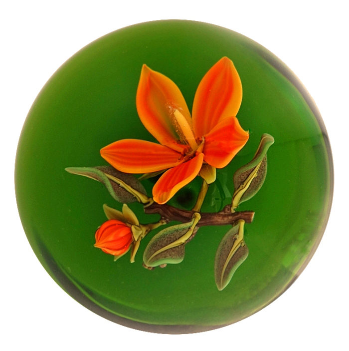 Farfalla Paperweight Graeber David Hibiskusbluete STST DG 005