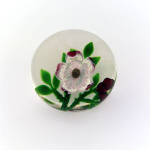 Farfalla Paperweight Holmes Peter Selkirk Glass Wild Rose PH 004