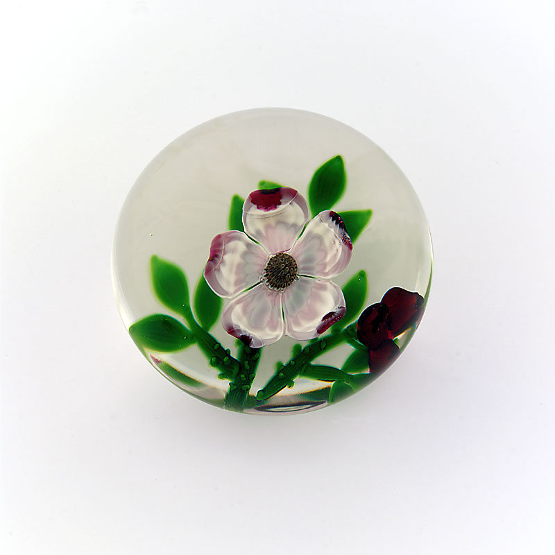 Farfalla Paperweight Holmes Peter Selkirk Glass Wild Rose PH 004